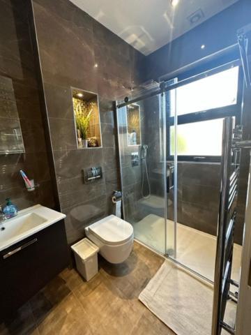 Lovely Near Gatwick Airport Apartment Reigate